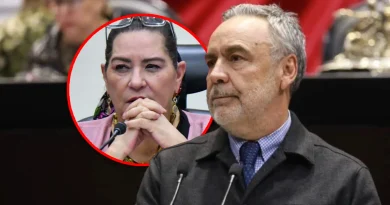 Guadalupe Taddei debe de ir a la cárcel y ser investigada por la FGR: Ramírez Cuéllar