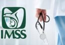 IMSS anuncian plan de 12 medidas para la atención médica en cuatro meses
