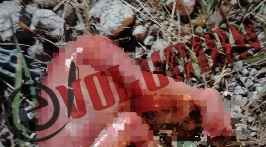 Hallan a recién nacido sin vida en terreno de Malinalco