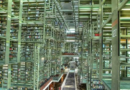 El legado de las bibliotecas y el llamado a su cuidado cultural
