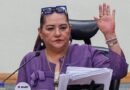 Taddei presenta su renuncia al INE ante la Cámara de Diputados y resalta que cumplió